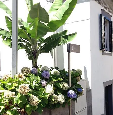 招待所 Holidays Madeira *