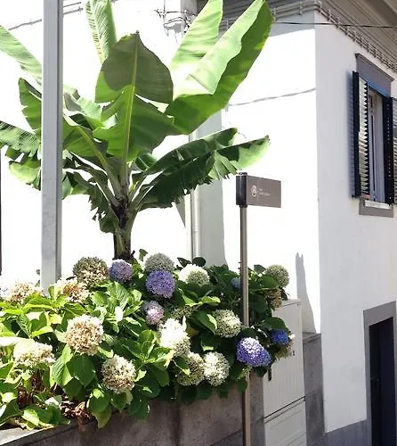 게스트하우스 Holidays Madeira *