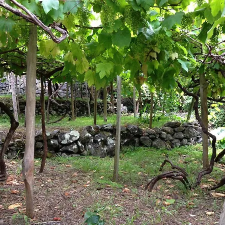 Holidays Madeira Πανσιόν