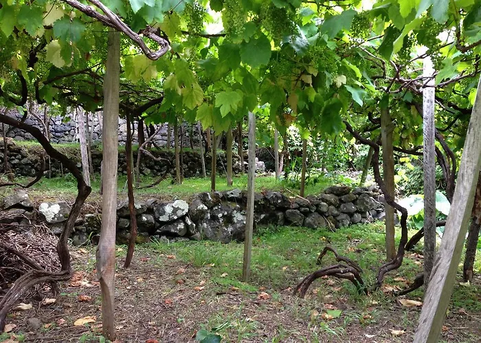 Holidays Madeira Casa de hóspedes